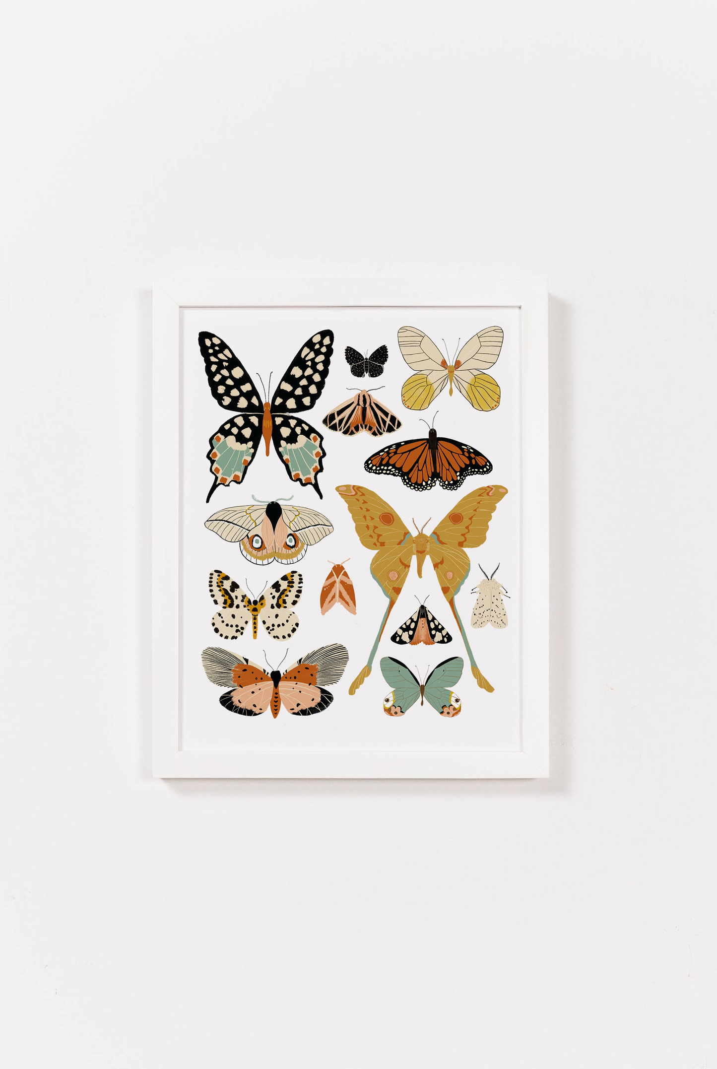Butterfly Collector Art