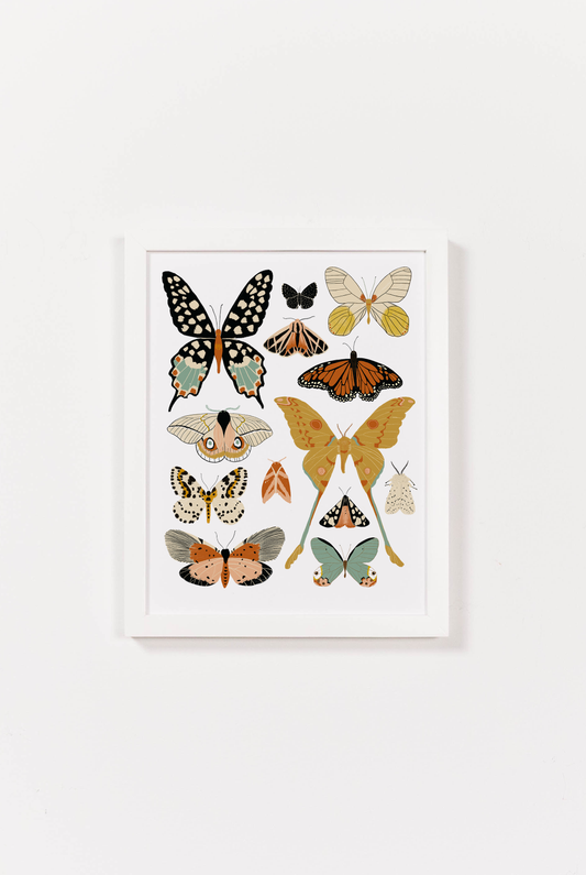 Butterfly Collector Art