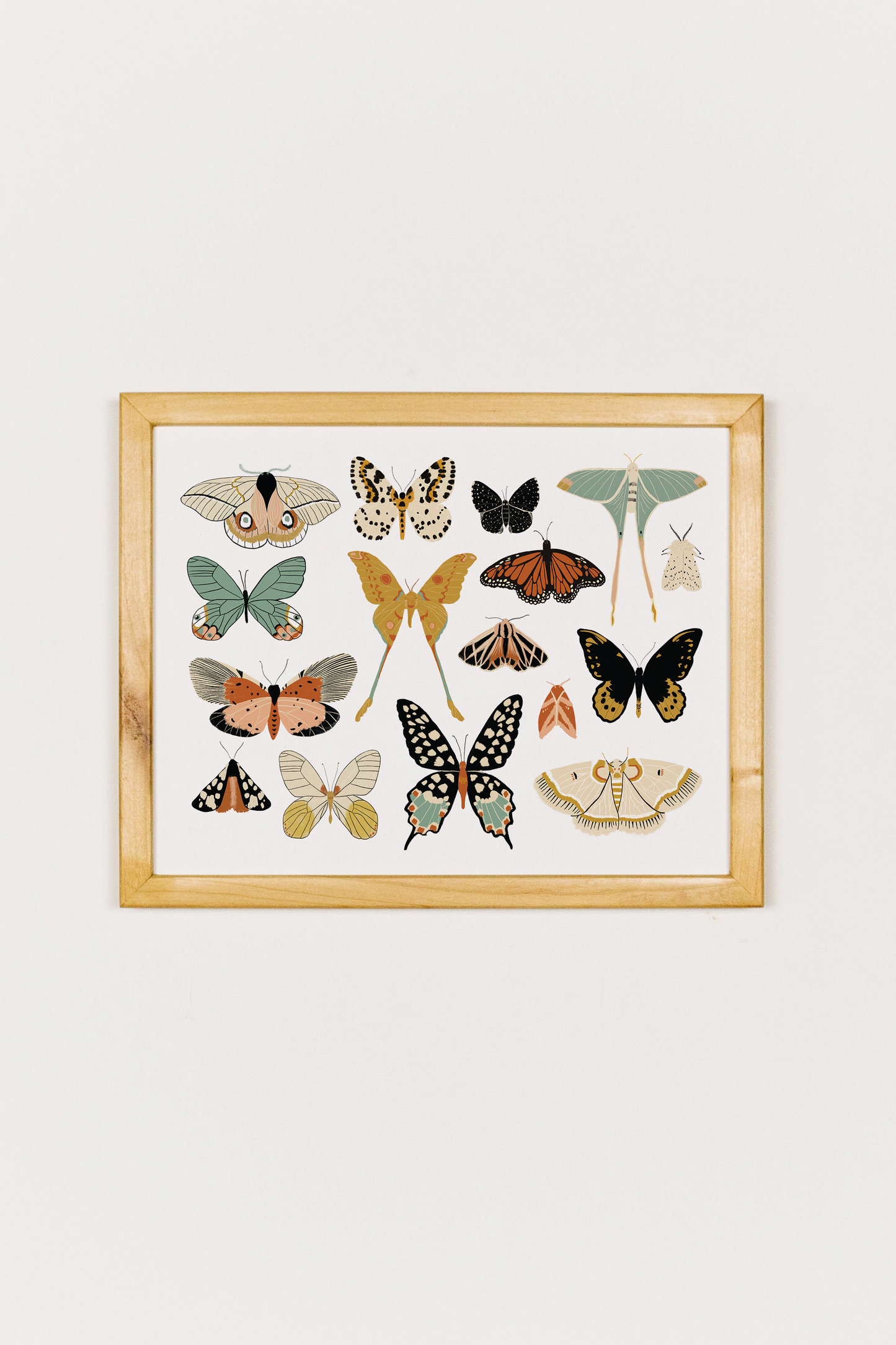 Butterfly Collector Art