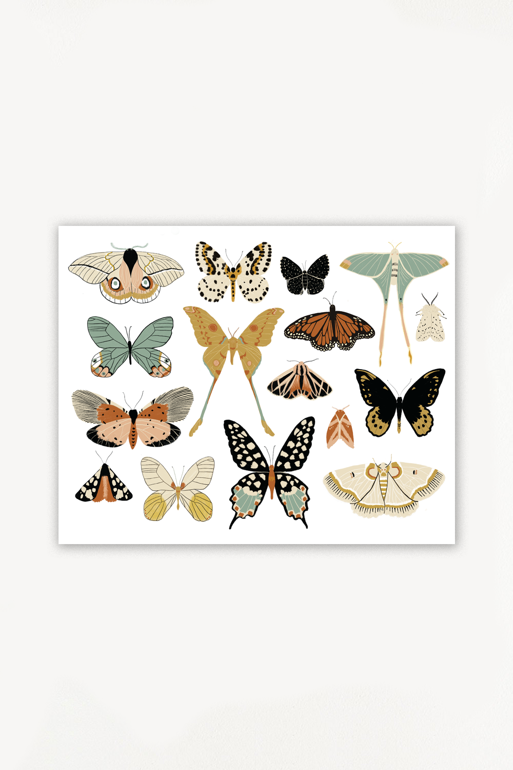 Butterfly Collector Art