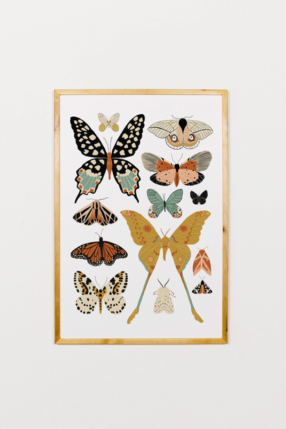 Butterfly Collector Art
