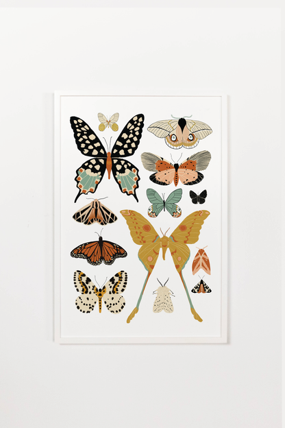Butterfly Collector Art