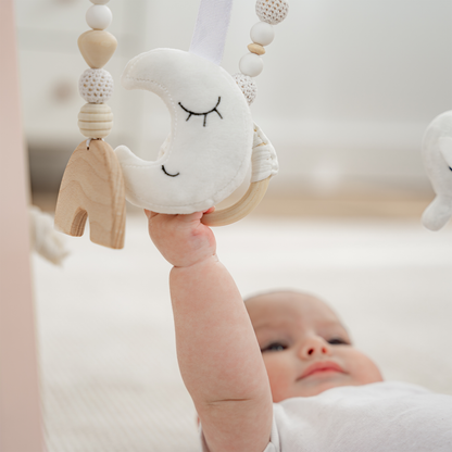 Baby Play Gym in Blush