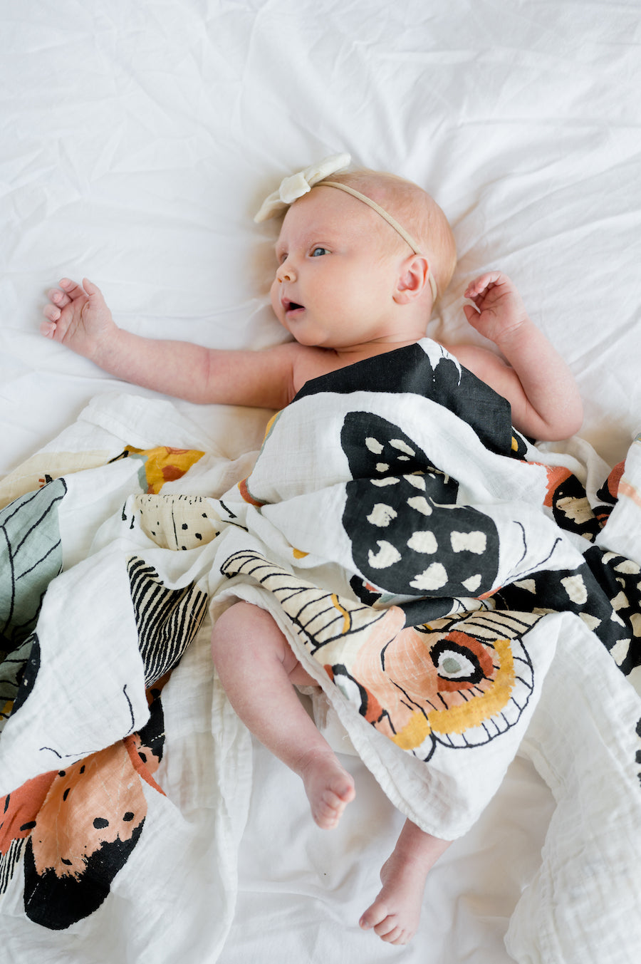 Butterfly Collector 100% Cotton Muslin Swaddle Blanket