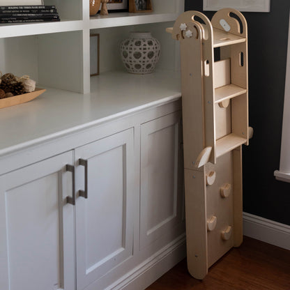 Little Partners 2-in-1 Learn 'N Slide/Climb