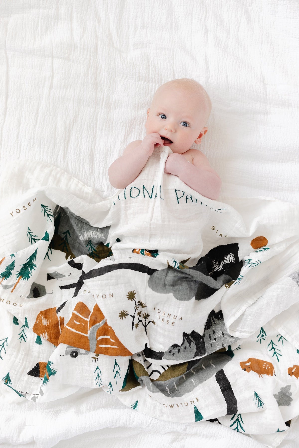 National Parks Cotton Swaddle Blanket for Newborns